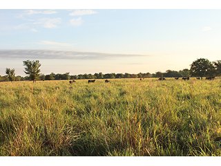 Tract 7 - LAND AUCTION - 440+/- Acres offered in 15 Tracts in Tulsa County